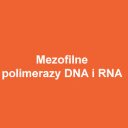 ABM Mezofilne polimerazy DNA i RNA