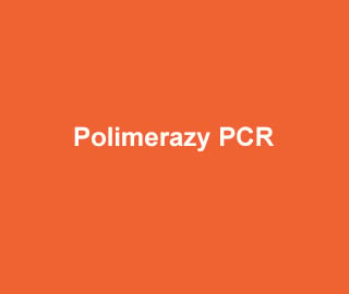Polimerazy PCR