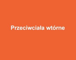 ABM Przeciwciała wtórne