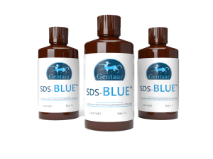 04GSB1L Gentaur Genprice 500ml SDSBlue Coomassie based solution for protein staining in SDSPAGE-3 bottles