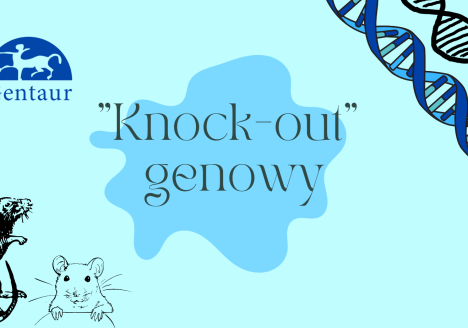 Czym jest Knock-out genowy?