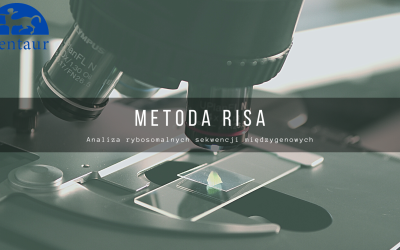 Czym jest metoda RISA Technika RISA - Analiza rybosomalnych sekwencji między genowych