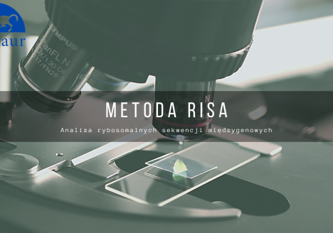 Czym jest metoda RISA Technika RISA - Analiza rybosomalnych sekwencji między genowych