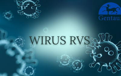 Czym jest wirus RSV? - Choroba nie tylko dzieci