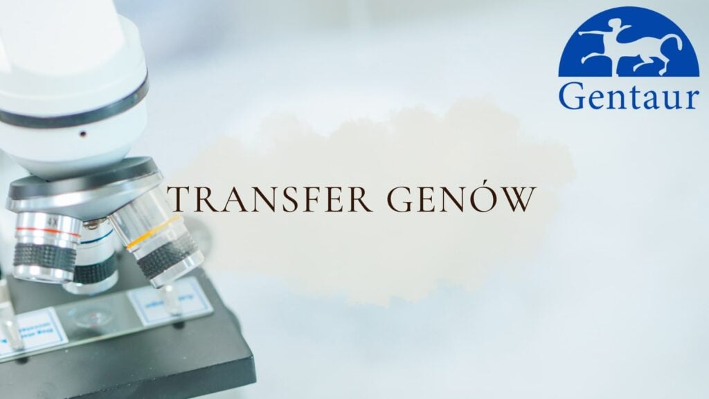 Transfer Genów