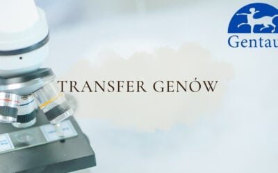 Transfer Genów