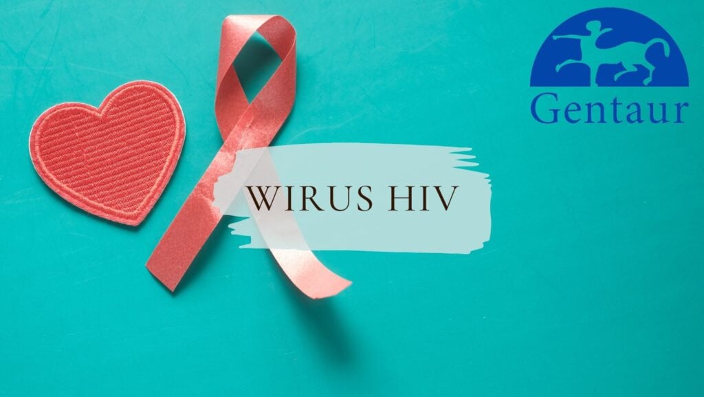 Wirus HIV - Czym jest Wirus HIV?