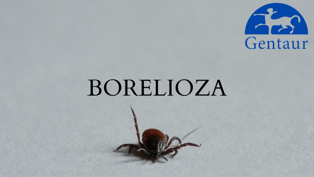 Bolerioza