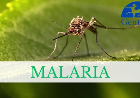 Malaria - wciąż realne zagrożenie