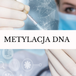 Metylacja DNA – jaki wpływ mamy na działanie DNA