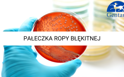 CHROMATYNA-Pałeczka ropy błękitnej